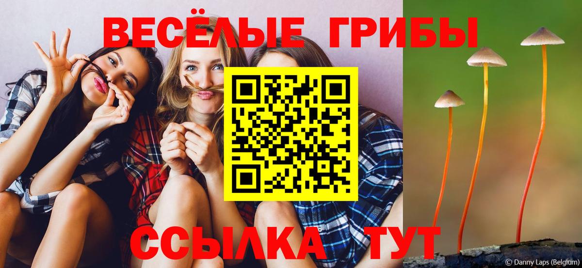 магазин продажи   Галлюциногенные грибы мухоморы  Вход с VPN  Дзержинск 